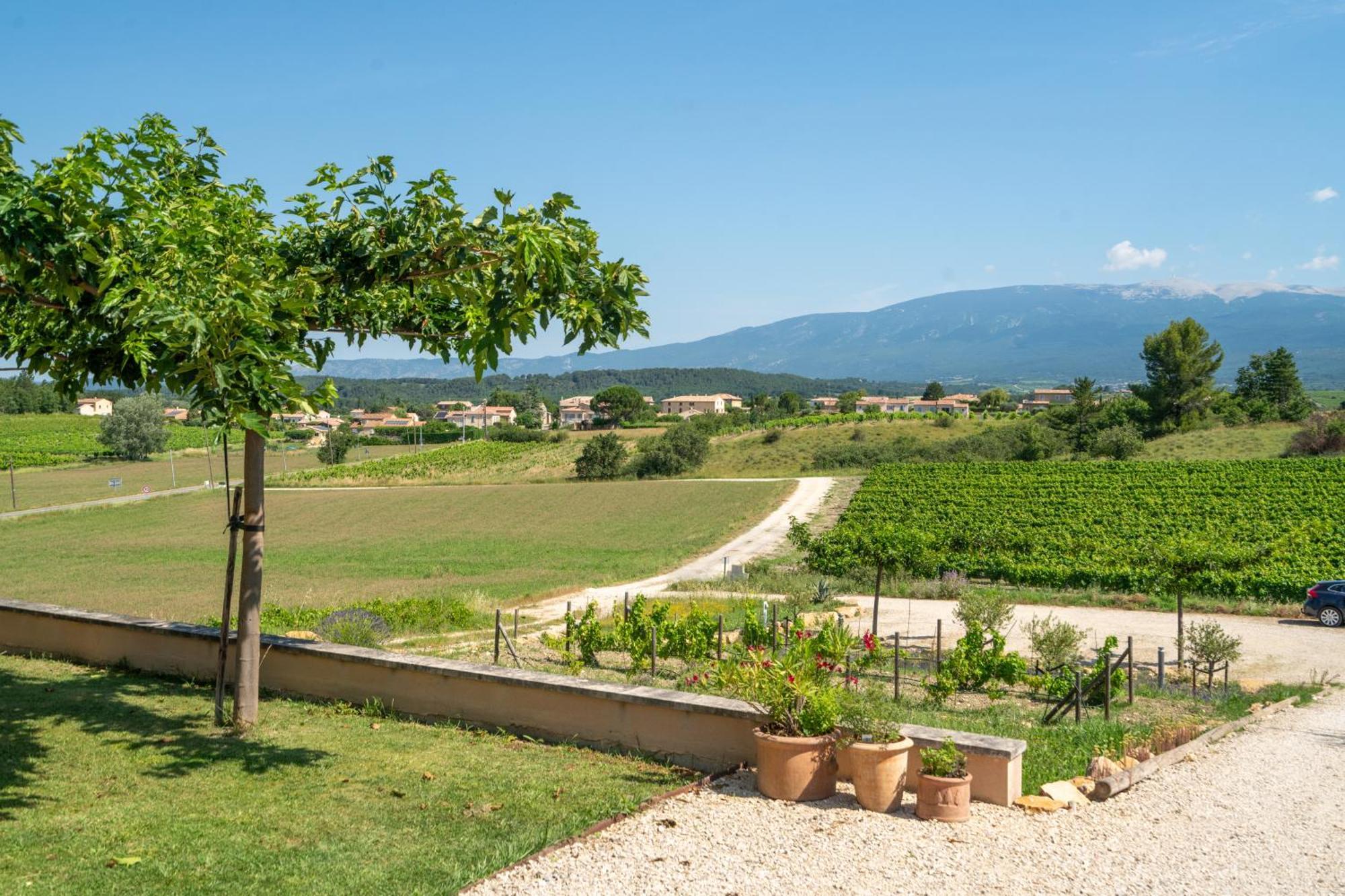 BlauvacLes Terrasses De Cascavelle别墅 外观 照片